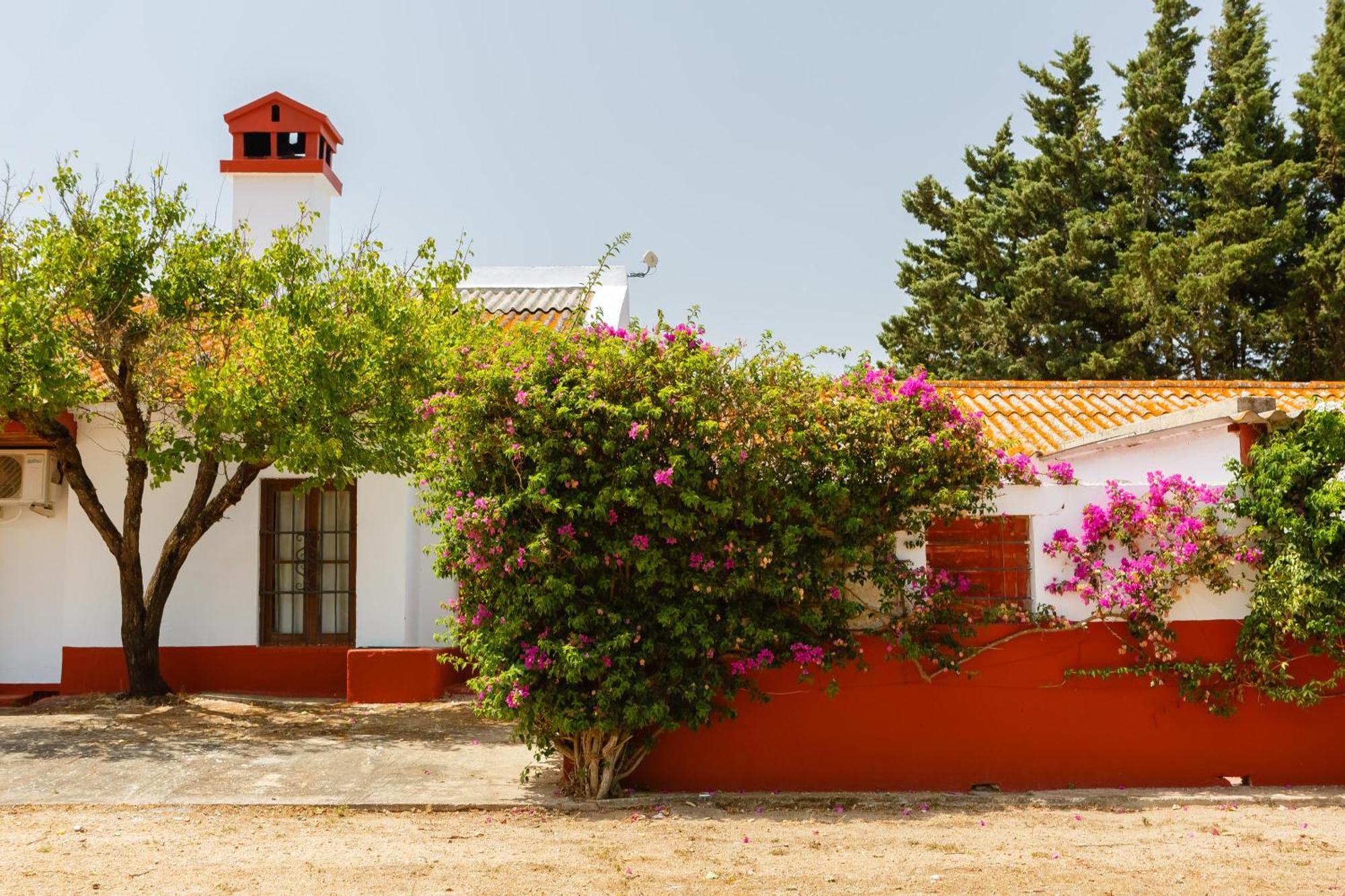 Casa Dehesa De Las Yeguas Cadiz Exterior photo